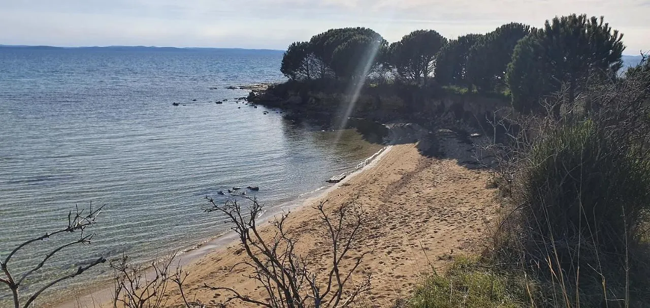 Apartments Elena Privlaka  Croatia